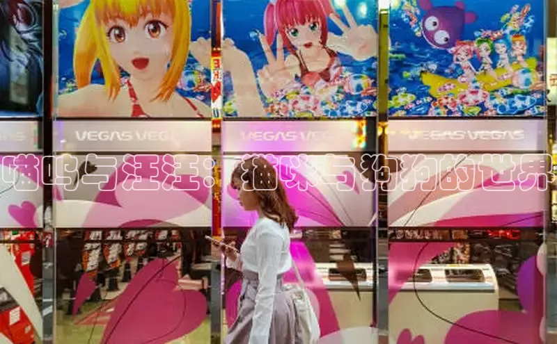 picacg漫書(网页版)